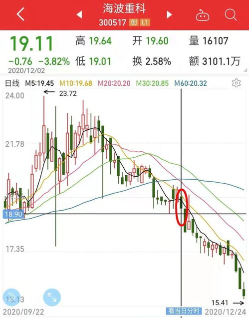 股票账户如何申购转债的最新相关信息