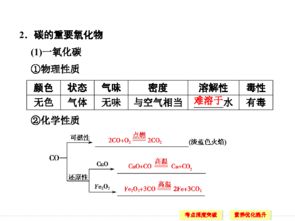 碳的单质知识