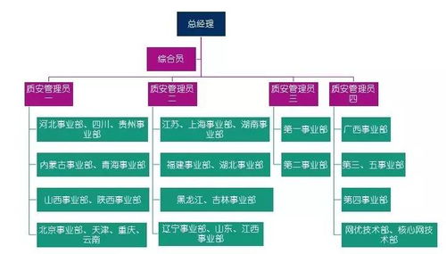 如何提高公司的质量管理？