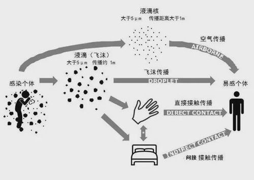 国外疫情严重进口奶粉不能买 这个误会有点大,真相看这里