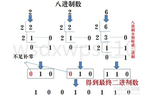 什么是二进制