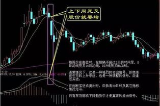 如何看k线图视频。在哪里能查