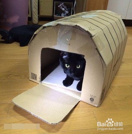 如何用纸盒做猫窝 