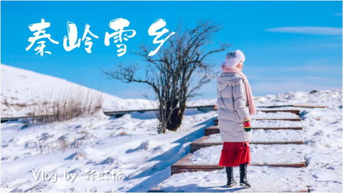 踏访秦岭雪乡,感受醉美留坝 