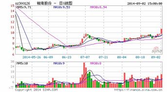 三人开公司股份怎么分