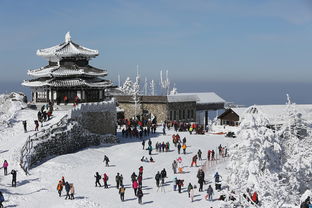 适合冬天的旅游景点