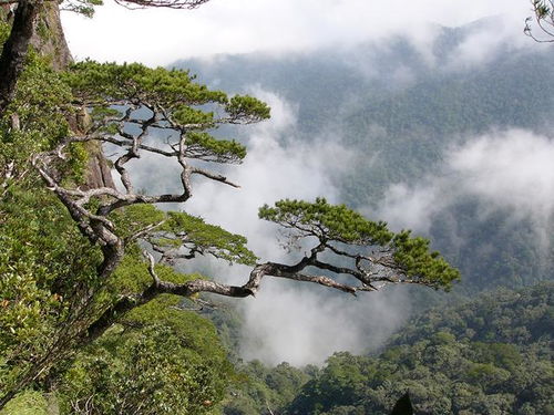 孙悟空传说之地 海南五指山,每爬一步都是 魔鬼 的步伐 