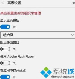 win10显示您还没有开启flash