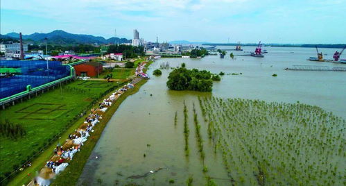 九江市金砂湾实业有限公司，是在湖口的金砂湾工业园区吗？是属于九江市管辖吗、