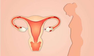 月经过后第几天女性更容易怀孕 了解这几个时间段,更容易受孕