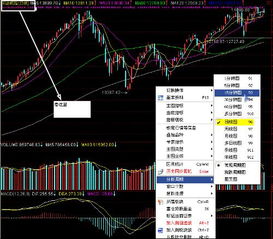 在交易软件里如何查看5分钟，30分钟，60分钟线啊？