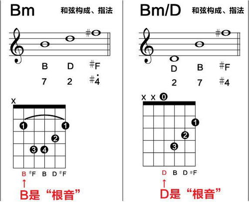 吉他谱上面写着Bm D一般的和弦就是写一个Bm和D可是一个小节里面出现了一个Bm D这是啥意思啊 