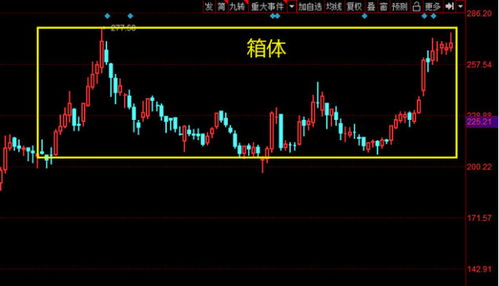 RCS股票板块的龙头和中军是哪两只股票？