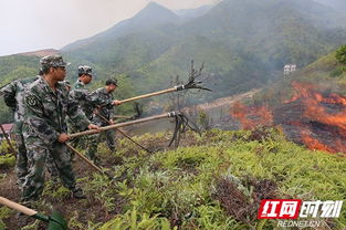 衡东 民兵应急分队紧急出动扑山火 