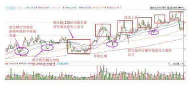 为什么股价会在均线处获得支撑反弹?