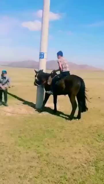 蒙古汉子驯服自己烈马 