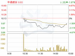 安徽中鼎密封件股份有限公司的企业概况