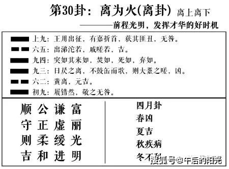 火龙君 罗天 易经如何提升 素养 思维 企业之道