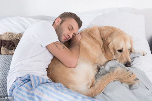 养狗须知 人和狗睡觉,会有这些危险