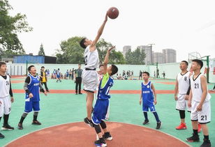 成都市金牛区2019中小学生篮球比赛活力开赛
