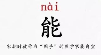 我想重新认识你,从你叫什么名字开始