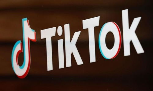 安卓如何注册tiktok_为什么要投TikTok