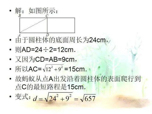 八年级数学勾股定理中蚂蚁爬行问题的七种情况 