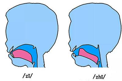 孩子平翘舌发音老不准 这个问题答案我找到了