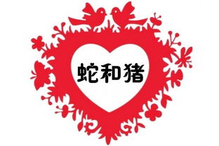 属蛇和属猪相克吗,蛇和猪2019年想结婚怎么破解