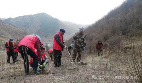 甘肃定西漳县大草滩镇