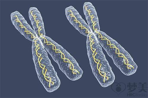 染色体究竟是怎么控制一个人的性别的呢 