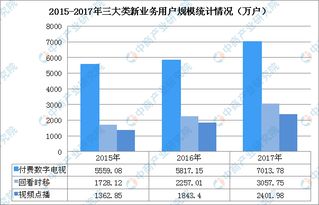 重庆有线电视网络有限公司效益如何