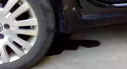 发现汽车漏油该怎么做