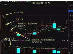 一位资深老股民酒后真言 10年操盘 涨停 四招,搞懂了就能快速盈利