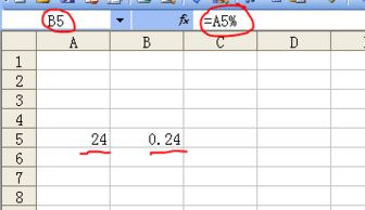 excel中=a5%代表什么意思