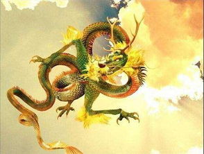 神话传说中的四海龙王各是什么品种的龙 