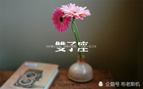 11月19日星座运势 白羊座易投资,射手座花钱要小心