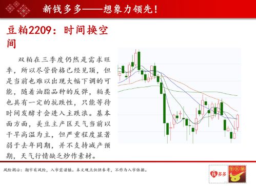 期货三大油脂哪个好交易  第1张