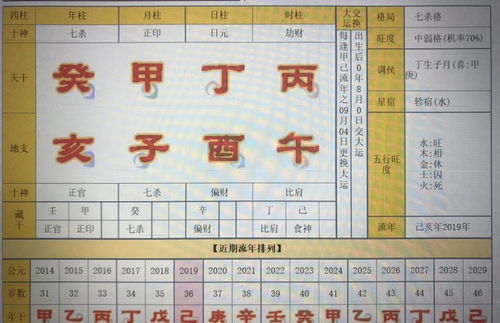 求各位大师给看看这个八字鸭 女命 