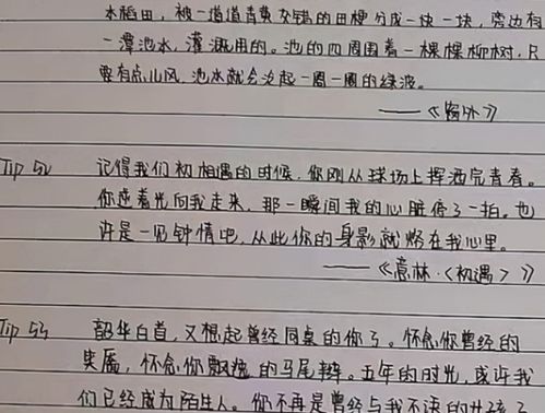 中考高考用鲸落字体扣分吗