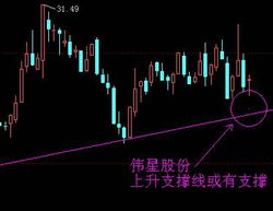 请问,最近伟星股份的股票走势如何