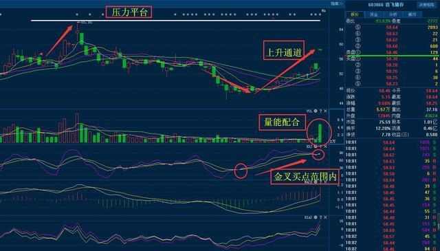 音飞储存603066发行价是多少