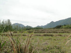 南昌风水大师 王君植江西寻龙点穴龙吐珠风水宝地,风水培训学习好案例