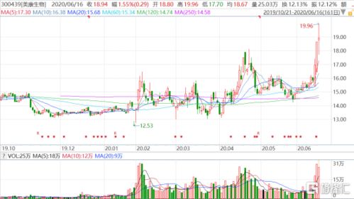 我只拥有公司的12%股份想转让给侄子怎么操作