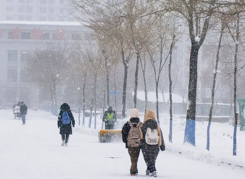 黑龙江继续发布大暴雪 局地特大暴雪预报