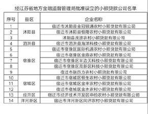 收藏 宿迁具备放款资质的小额贷款公司名单 