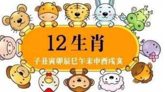 生13胎凑齐12生肖她是这样做到的 网友 论超生游击战只服你