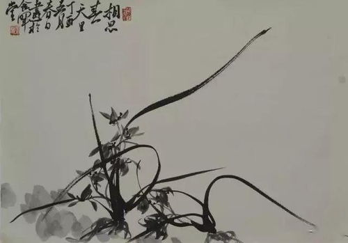 作者简介插图怎么弄好看？在看到一张画作后如何找到其出处与作者(作者简介怎么编辑)