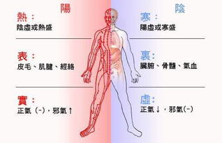 阴和阳各指什么?