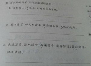 问号英语造句（带问号的排比句？）